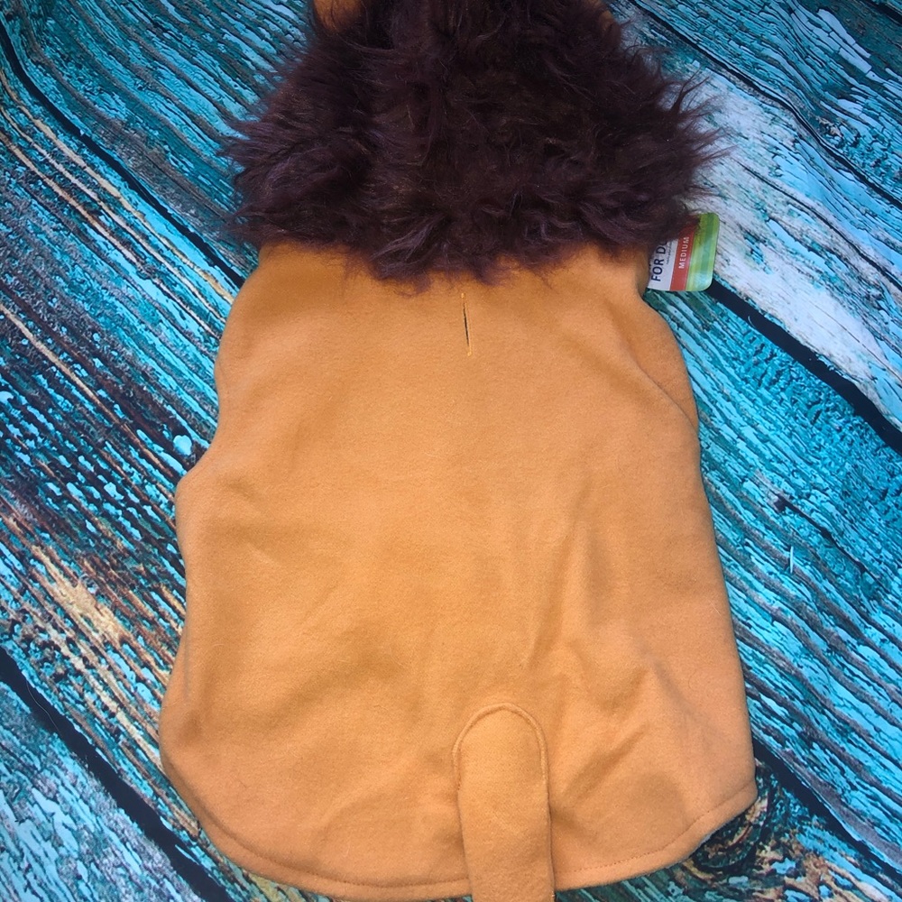 Dogs Lion Costume- Available In Various Sizes - Picture 6 of 8